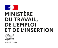 MIN_Travail_Emploi_et_Insertion_RVB.png copy